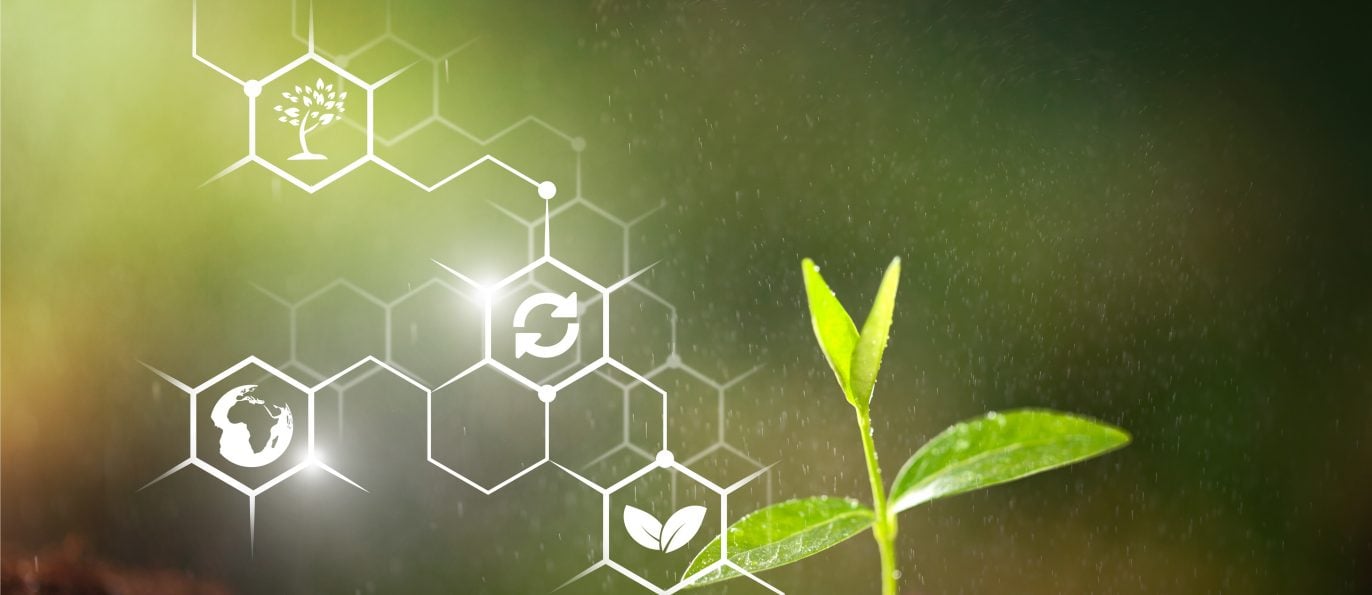 DNA chain next to plant