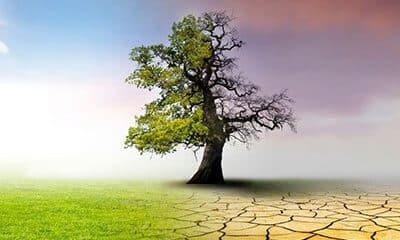 Keeping agriculture green: joining the fight in climate change