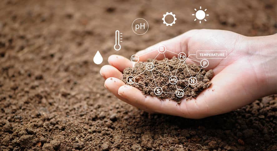 The-importance-of-predictive-analytics-in-agriculture_Inside02