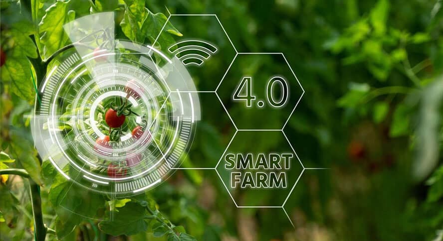 The-AI-agricultural-revolution-a-fertile-ground-for-growth_Inside02