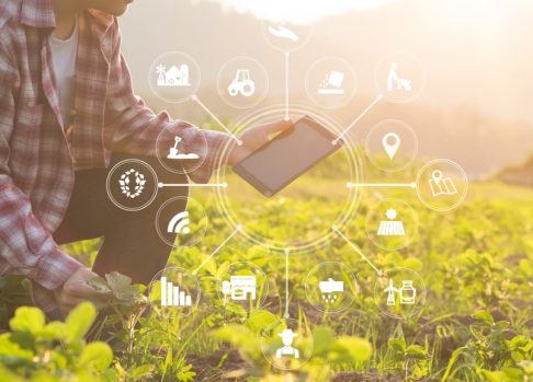 Field trial management in the age of agtech