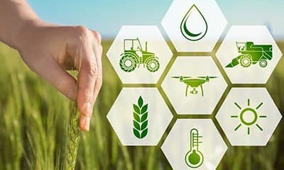 How precision agriculture helps feed our growing world