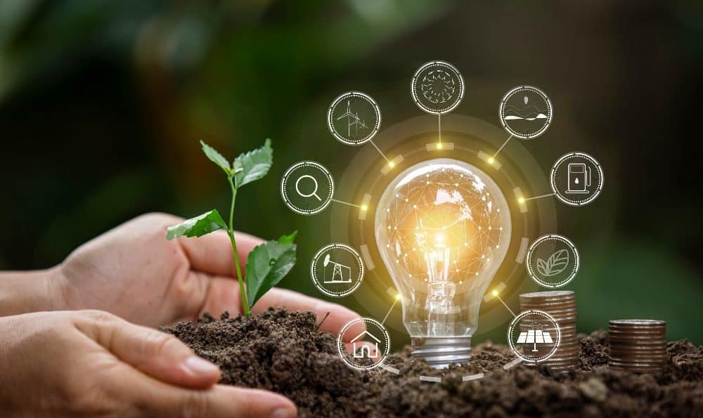 image of IoT and plant