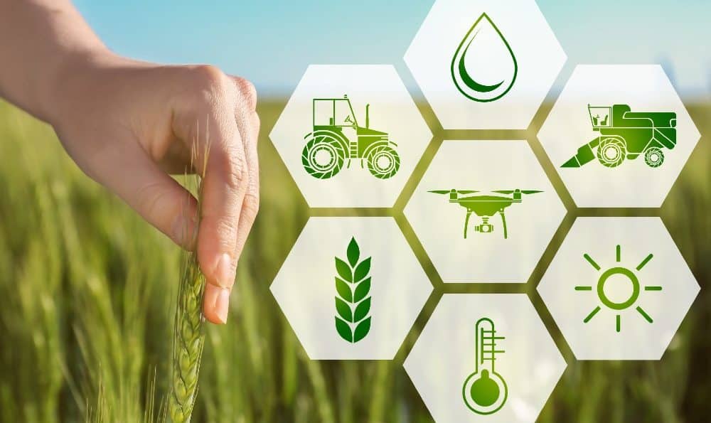 digital agriculture