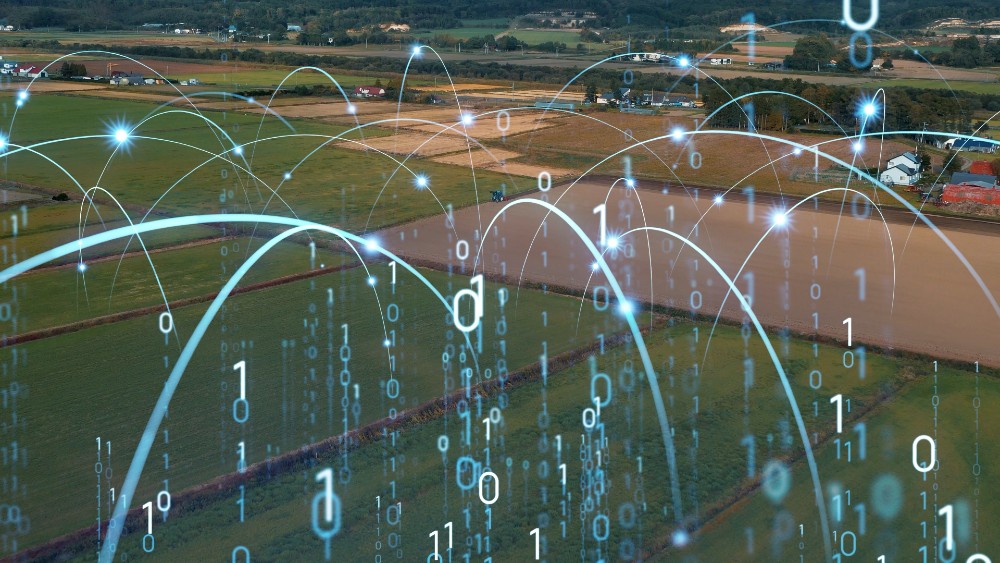 Data matrix over a field