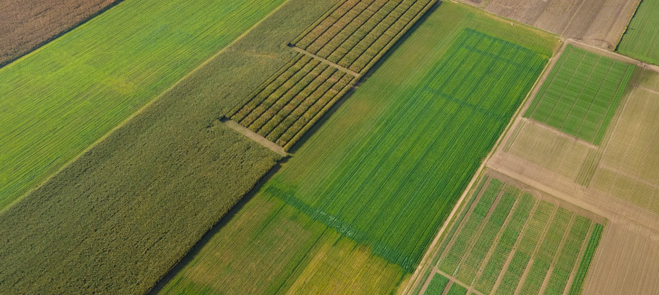 patterns of crops