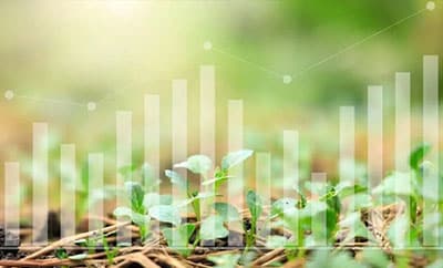 Crop Modeling Definition, Use Cases and Advantages