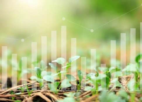 Crop Modeling Definition, Use Cases and Advantages