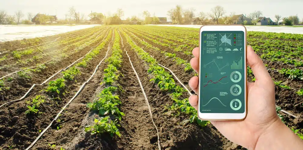 graphs over crops