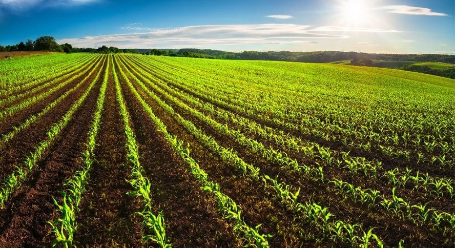 Big-Data-Analytics-in-Agriculture_the-Key-to-Unlocking-the-Potential-of-Field-Trials_Inside02