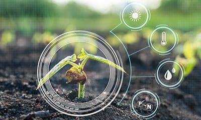 Driving Innovation in Agriculture with Synthetic Data