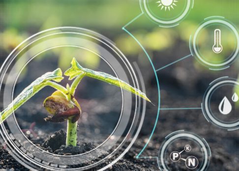 Driving Innovation in Agriculture with Synthetic Data