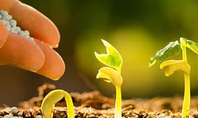 Agmatix Powers Open Databases that will Revolutionize Crop Nutrition