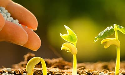 Agmatix Powers Open Databases that will Revolutionize Crop Nutrition