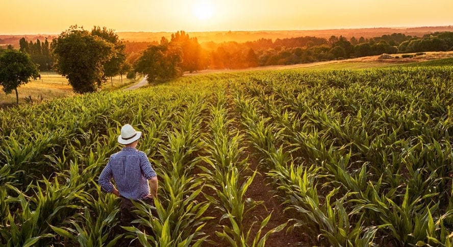 Ensuring-Productive-Food-Systems-with-Agmatix_Inside02