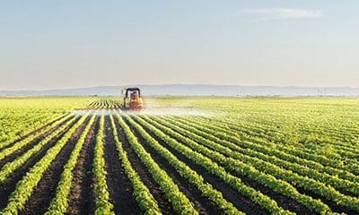 Ensuring Productive Food Systems with Agmatix