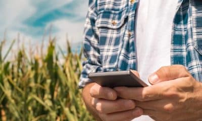 How On-Farm Experiments Can Improve Your Bottom Line
