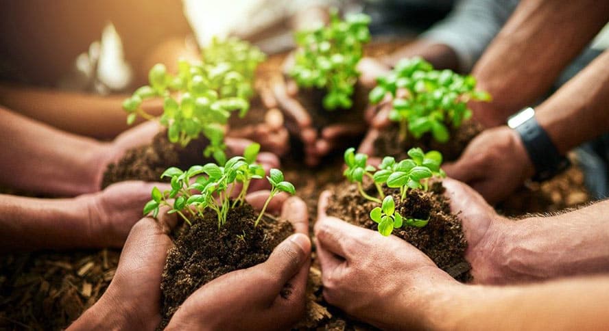 Why-Collaboration-is-the-Key-to-Innovation_Inside