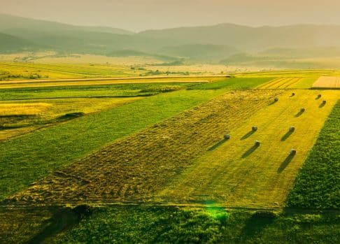 The importance of digital tools in modern agriculture to successfully implement the 4R approach