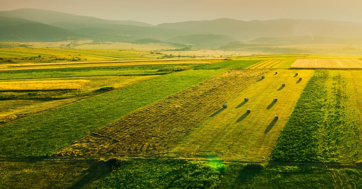 The importance of digital tools in modern agriculture to successfully implement the 4R approach