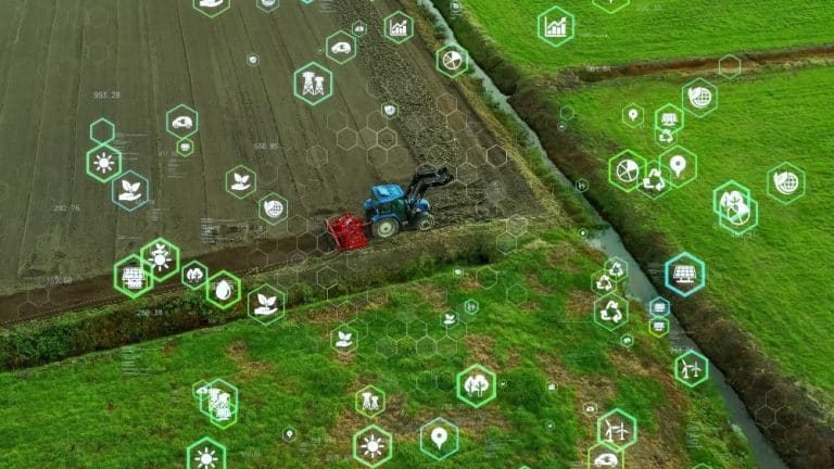 The importance of digital tools in modern agriculture to successfully ...
