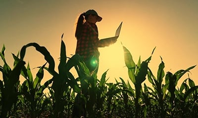 Knowledge Is Power, Use Data To Fuel Better Decisions
