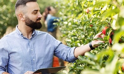 The New Generation of Agronomists: Pushing to Net Zero Carbon Footprint