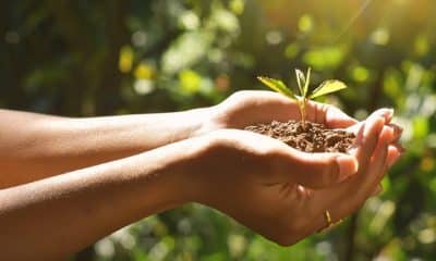 Critical Factors Driving Trends in Field Trials Today