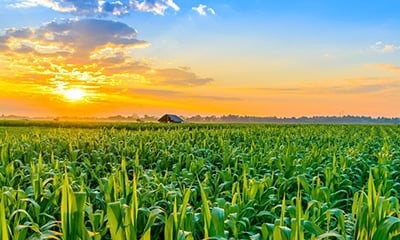 The cloud-based ag data train is about to leave the station – are you on it?