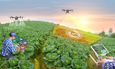 Cloud Computing: Reshaping the Ag Industry