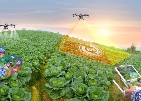 Cloud Computing: Reshaping the Ag Industry