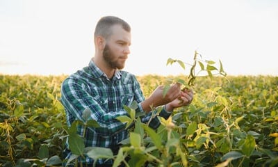 CROs Can Count on Agriculture Analytics Tools