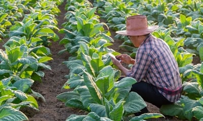 Cutting Time to Market: Leveraging Next-Generation Field Trial Software