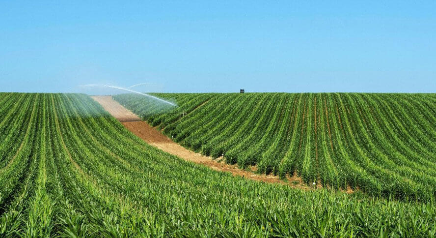 The-future-of-agriculture--why-commercial-agriculture-should-adopt-cloud-technology_Inside01