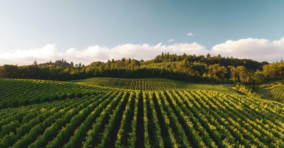 Agronomic Field Trial Compliance and Reporting Software 