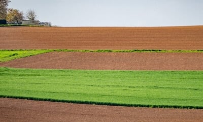 Streamline Field Trials with Next-Generation Digital Solutions 