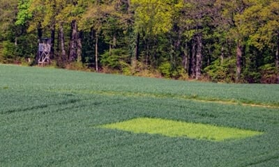 Accelerating R&D with Field Trial Software
