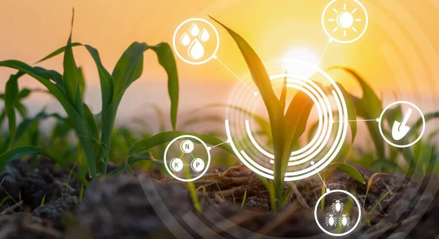 Advancing-Sustainable-Growth--The-Role-of-Agriculture-Data-Analytics-in-Regenerative-Agriculture_Inside_01