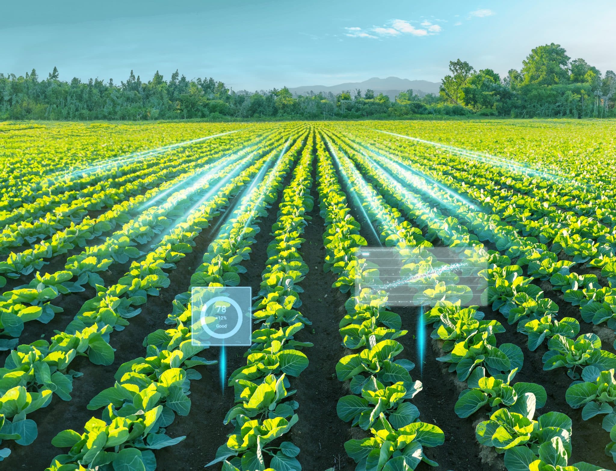 Innovating In Agriculture: Harnessing Data-Driven Strategies For Field Trials