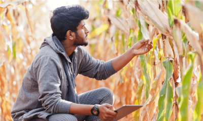 How Deepak Fertiliser Optmizes Analysis Time by 70% with Agmatix’s Trial Management & Insights Platform
