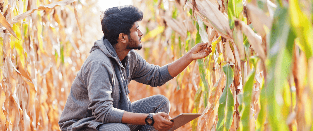 How Deepak Fertiliser Optmizes Analysis Time by 70% with Agmatix’s Trial Management & Insights Platform