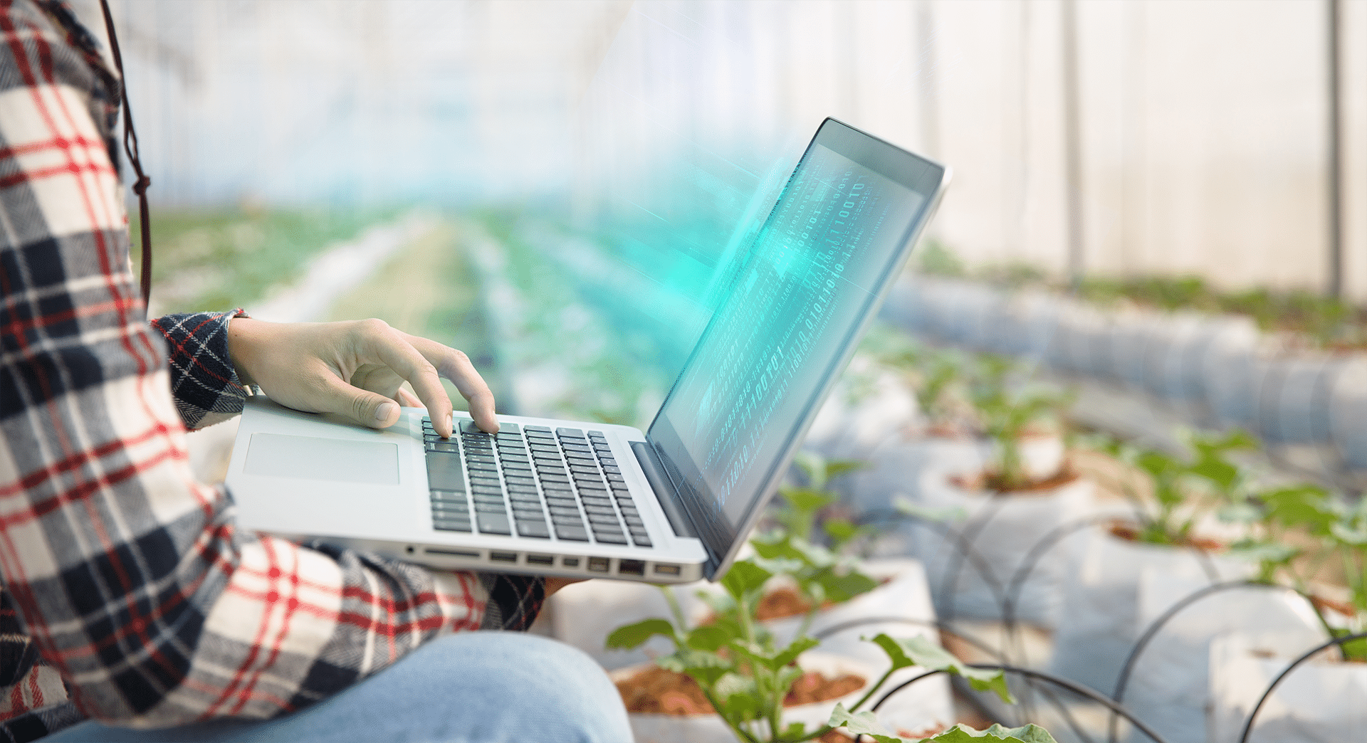From Planning to Submission: Agmatix Field Trial Software Solution Accelerates Field Trials