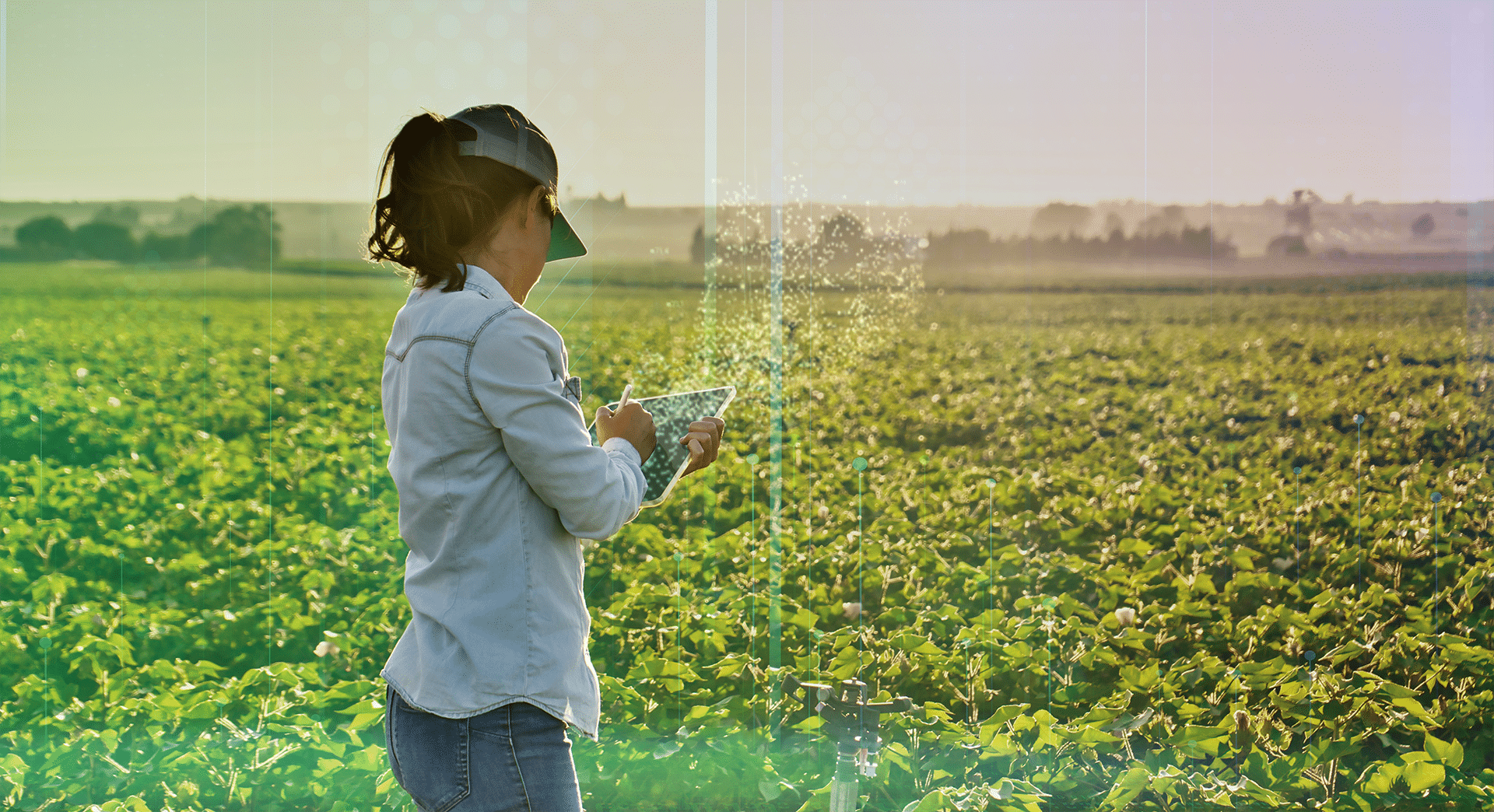 Increasing Data Integrity in Field Trial Management