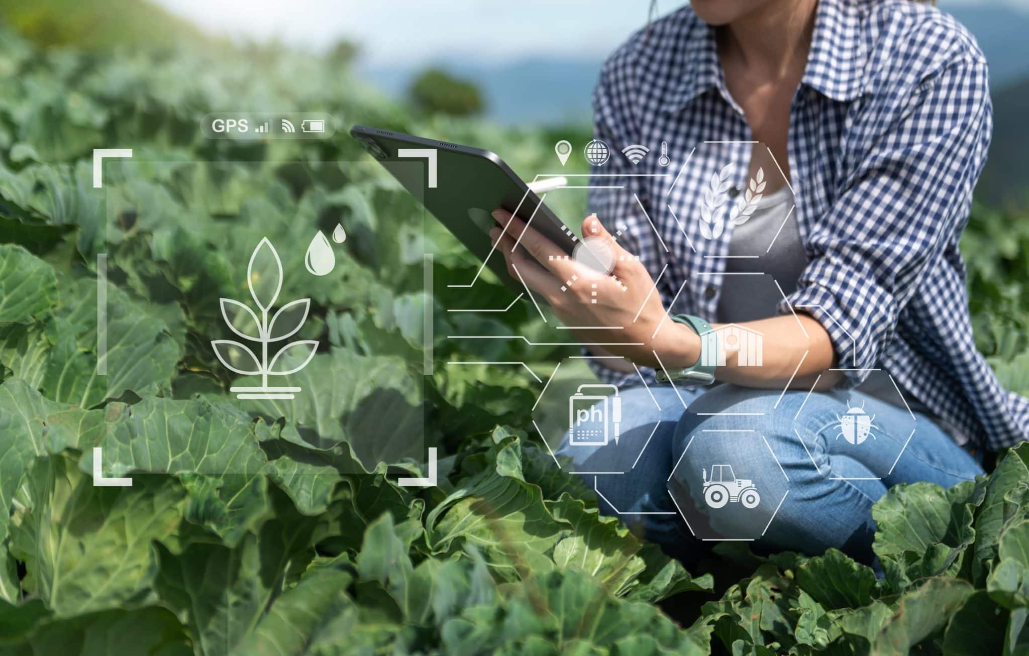 Growing smarter: The impact AI and Gen AI on Tomorrow’s Agriculture