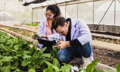 Achieving GLP Excellence: Agmatix’s Data Solutions for Agronomic Trials 