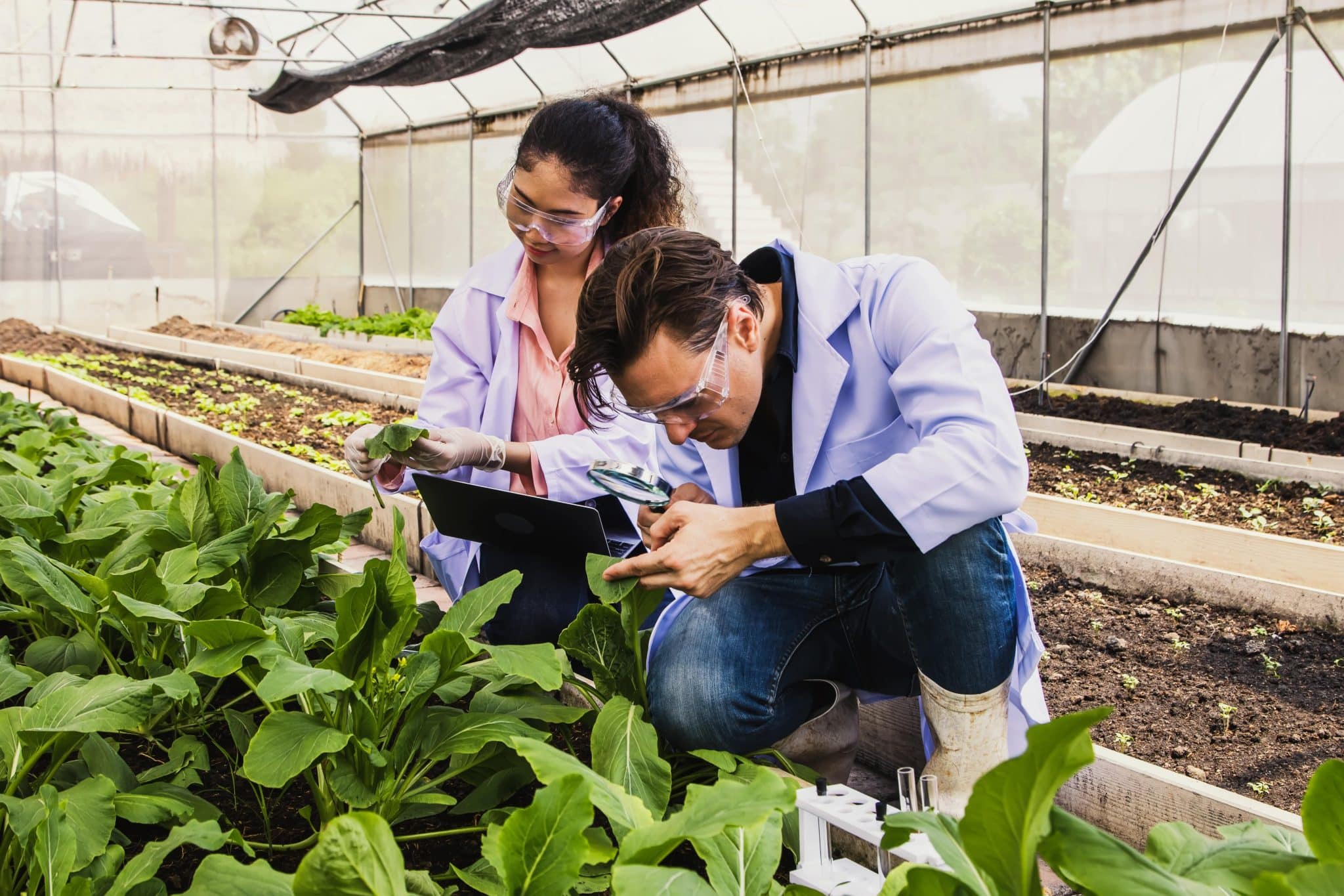 Achieving GLP Excellence: Agmatix’s Data Solutions for Agronomic Trials 