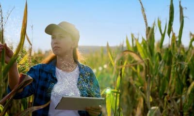 Harnessing Artifical Intelligence in Agriculture