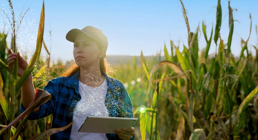 Harnessing Artifical Intelligence in Agriculture