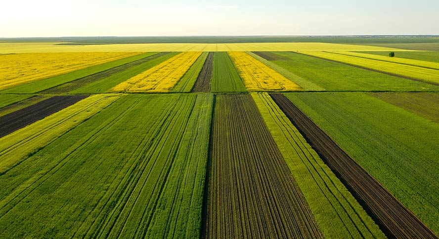 How-Agmatix_s-Trial-Management-Platform-Boosts-Your-ROI-for-Crop-Protection-Trials_Inside01