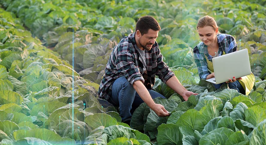 Revolutionizing Agronomy Through Agricultural Data Analysis Systems